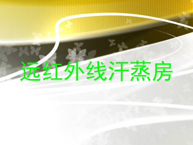 远红外线汗蒸房