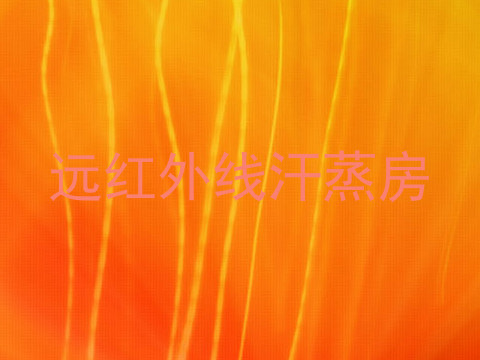 远红外线汗蒸房
