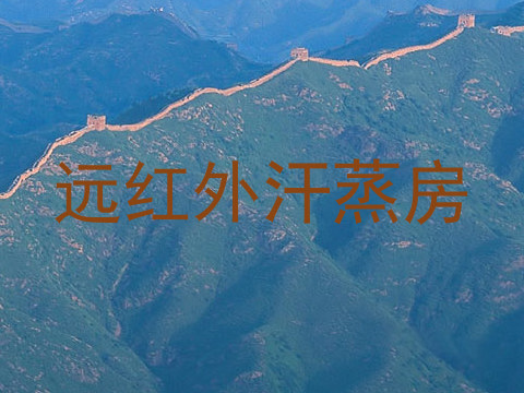 远红外汗蒸房