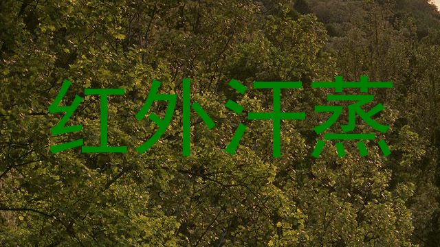 红外汗蒸
