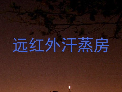 远红外汗蒸房