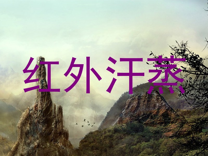 红外汗蒸