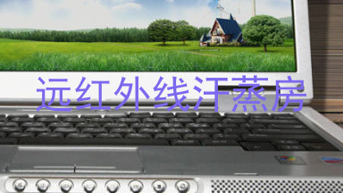 远红外线汗蒸房