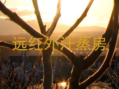 远红外汗蒸房