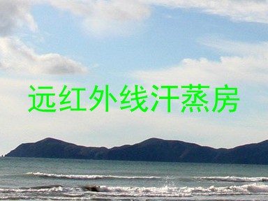 远红外线汗蒸房