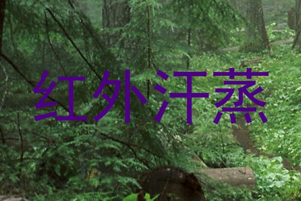 红外汗蒸