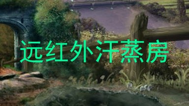 远红外汗蒸房