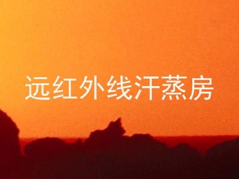 远红外线汗蒸房
