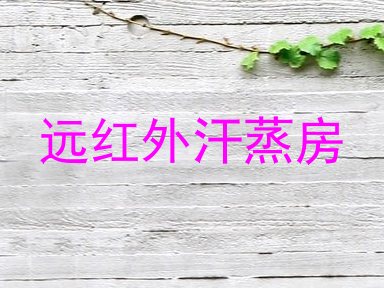 远红外汗蒸房