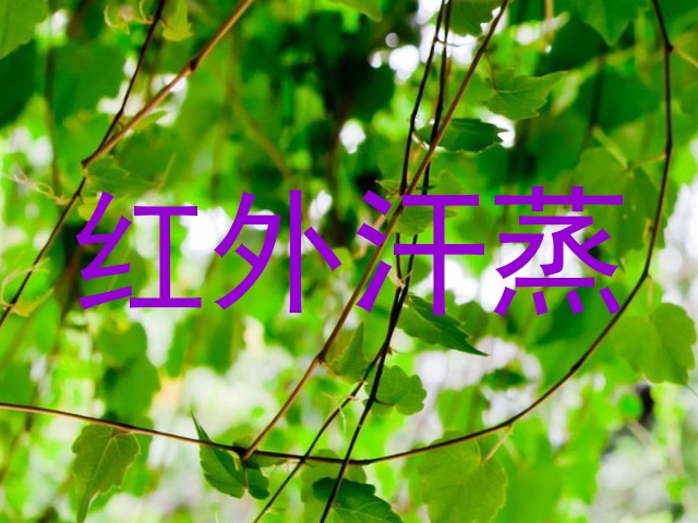 红外汗蒸