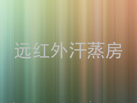 远红外汗蒸房