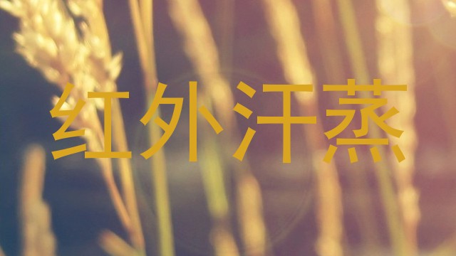 红外汗蒸