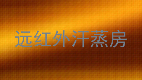远红外汗蒸房