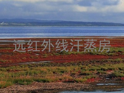 远红外线汗蒸房