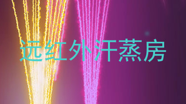 远红外汗蒸房