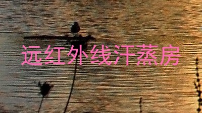 远红外线汗蒸房
