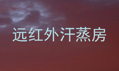 远红外汗蒸房