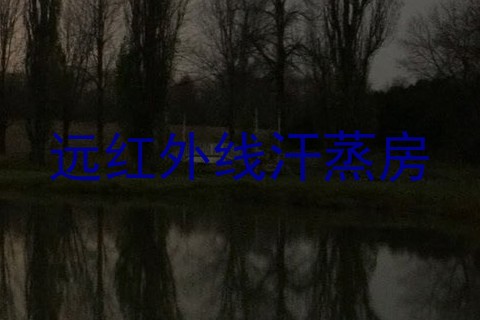 远红外线汗蒸房