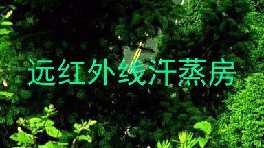 远红外线汗蒸房