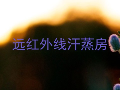 远红外线汗蒸房