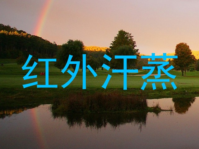 红外汗蒸