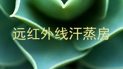 远红外线汗蒸房