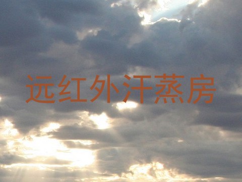 远红外汗蒸房