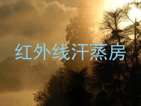 红外线汗蒸房