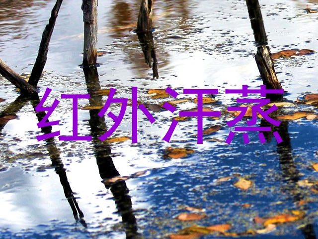红外汗蒸