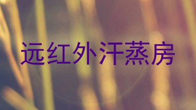 远红外汗蒸房