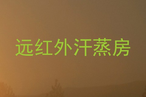 远红外汗蒸房