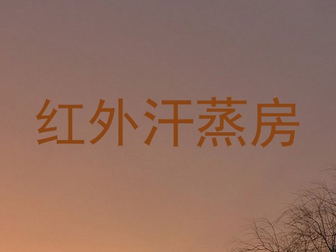 红外汗蒸房