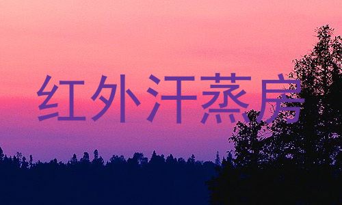 红外汗蒸房