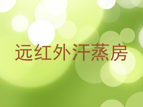 远红外汗蒸房