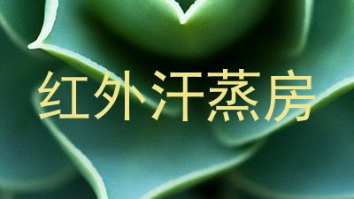 红外汗蒸房