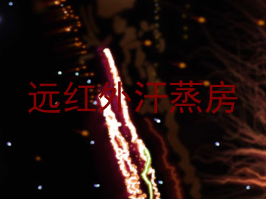 远红外汗蒸房