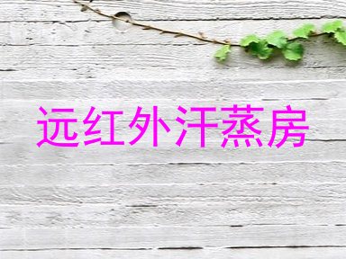 远红外汗蒸房
