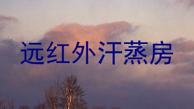 远红外汗蒸房