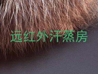 远红外汗蒸房