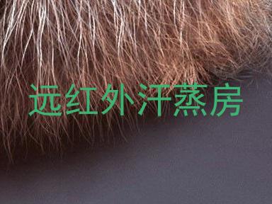 远红外汗蒸房