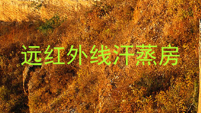 远红外线汗蒸房