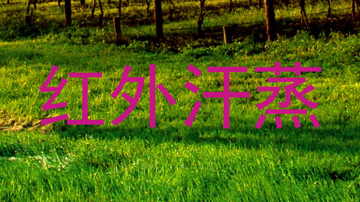 红外汗蒸