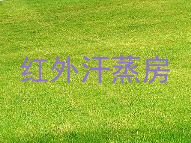 红外汗蒸房