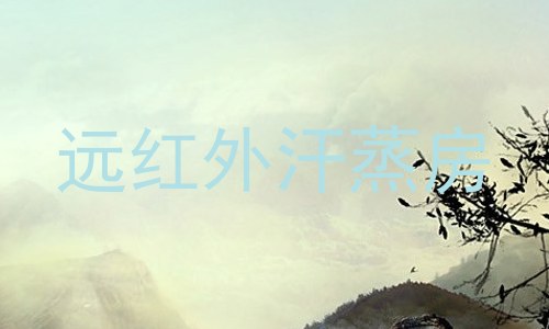 远红外汗蒸房