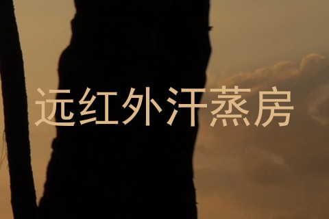 远红外汗蒸房