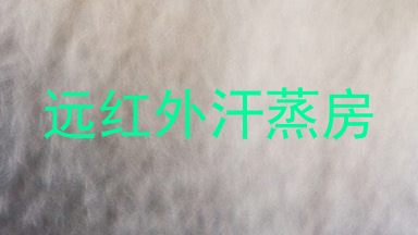 远红外汗蒸房
