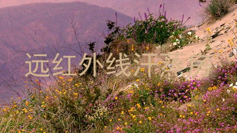 远红外线汗蒸房