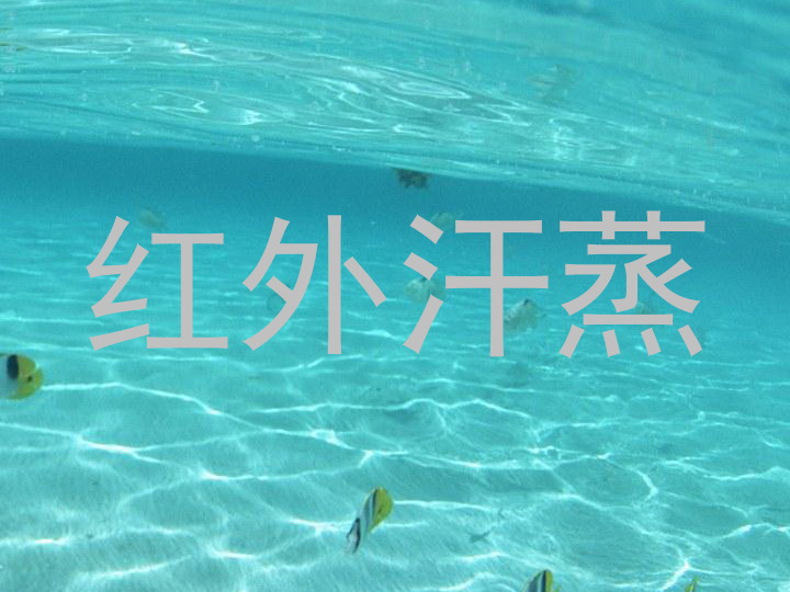 红外汗蒸