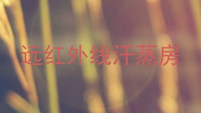 远红外线汗蒸房