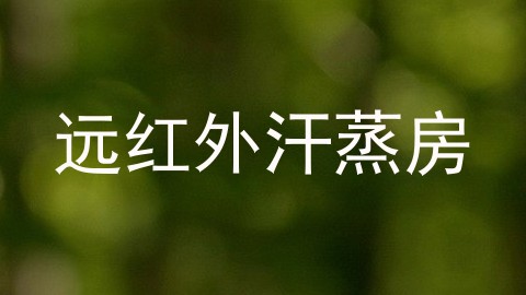 远红外汗蒸房